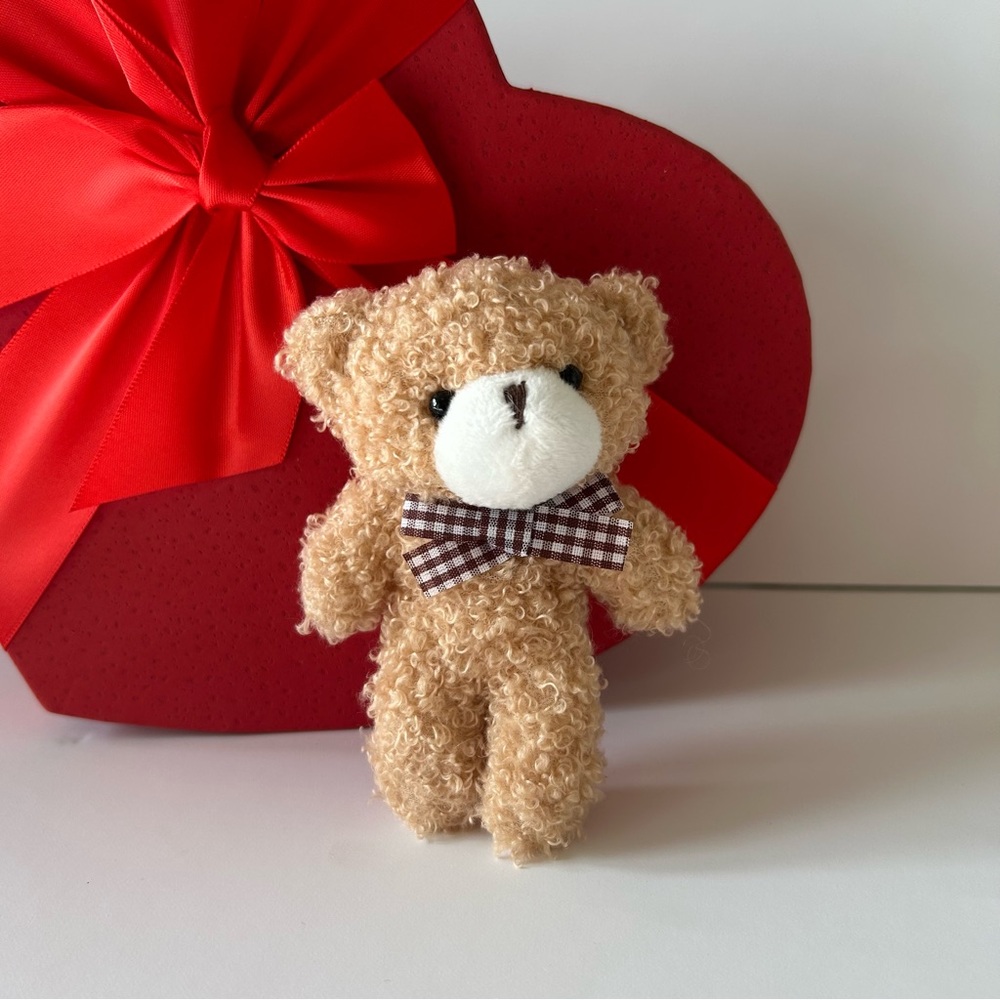 ⭐Teddy Bear Plush Keychain